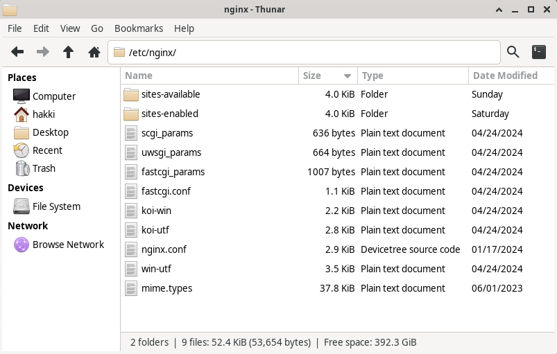 The image shows a screenshot of the thunar file browser window from my server computer, showing '/etc/nginx' folder.