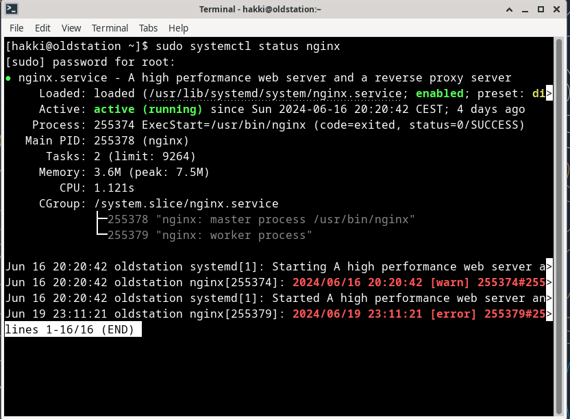 The image shows a screenshot of the terminal window from my server computer, which indicates that nginx is up and running.